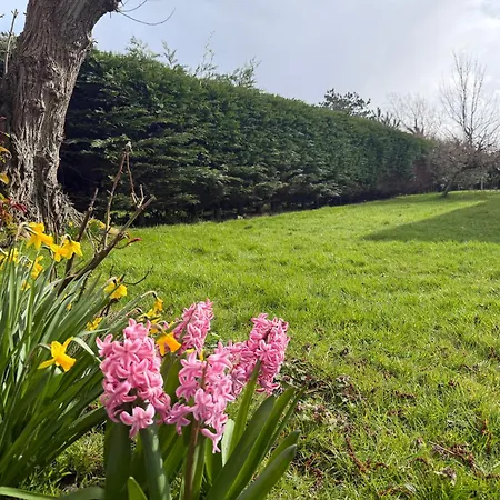 Ogentroost Holiday home Julianadorp