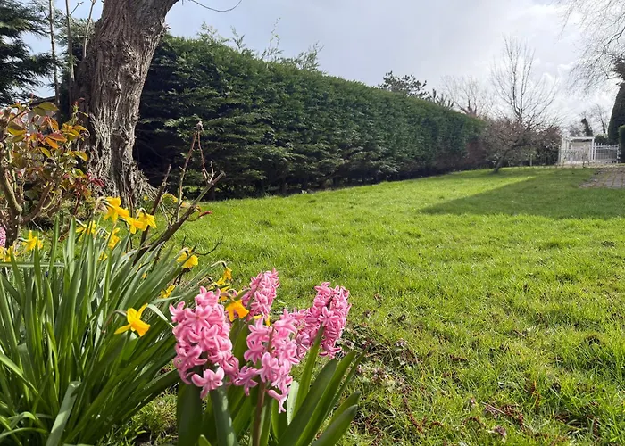 Ogentroost Сasa de vacaciones Julianadorp